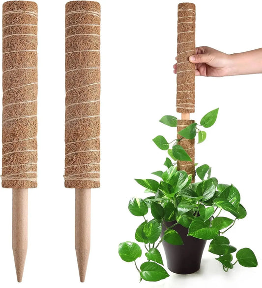 Climbing Totem Pole Plant Support – Ideal for Indoor Climbing Plants Brownstick