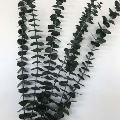 10 PCS Real Eucalyptus Dried Leaves