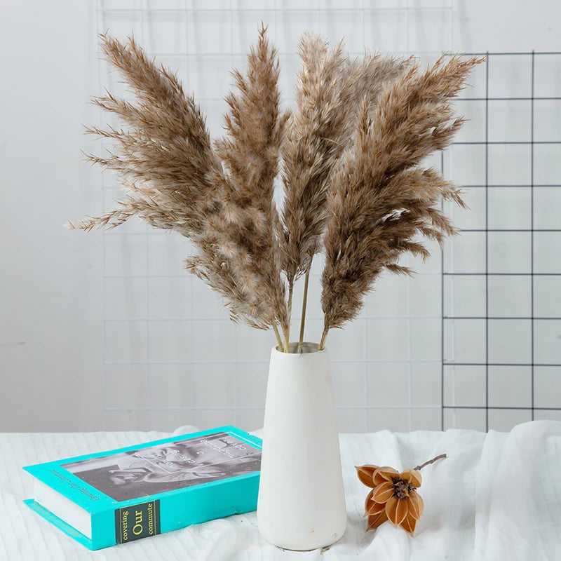 10Pcs Dried Pampas Grass Decor Bundle