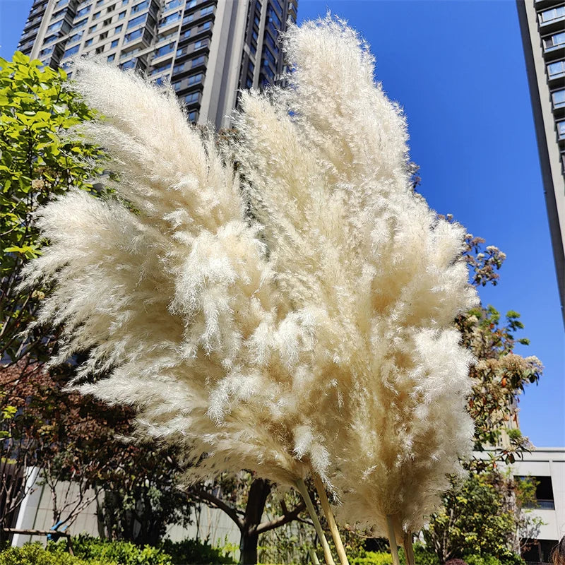 120cm Luxury Artificial Pampas Grass Bouquet – Perfect for Home