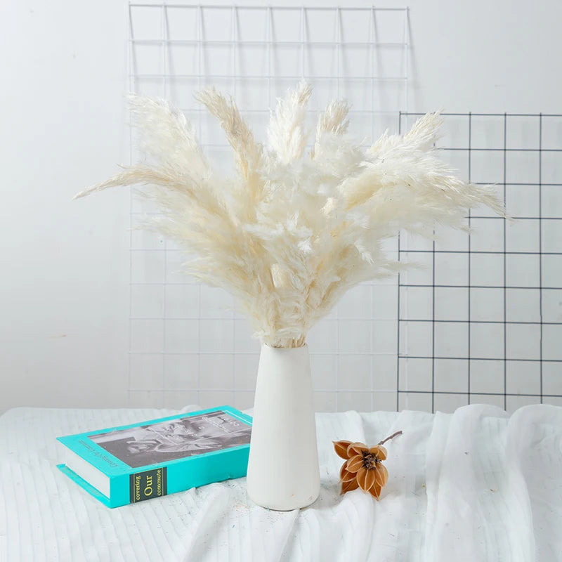 10Pcs Dried Pampas Grass Decor Bundle