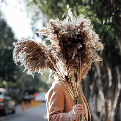 10Pcs Dried Pampas Grass Decor Bundle