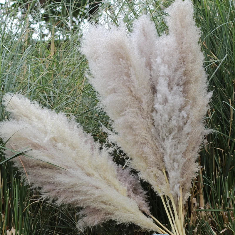 120cm Luxury Artificial Pampas Grass Bouquet – Perfect for Home