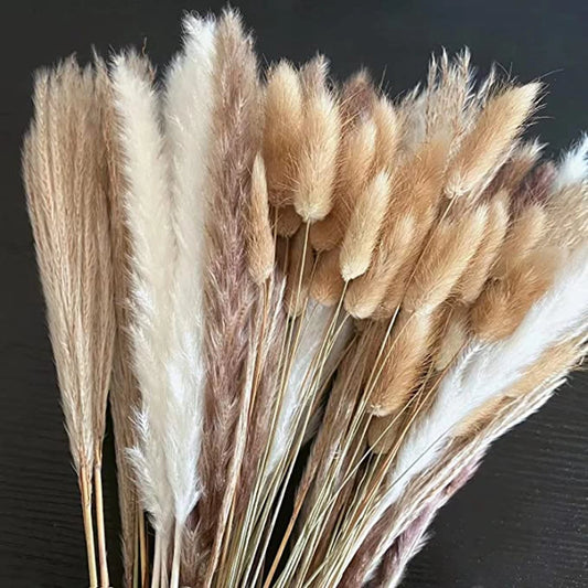 Natural Dried Pampas Grass Set – Fluffy and Elegant for Boho Home Decor