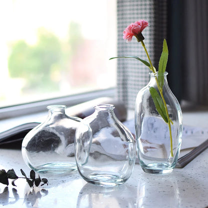 Retro Glass Flower Vase for Home Decoration and Office Desk Ornament