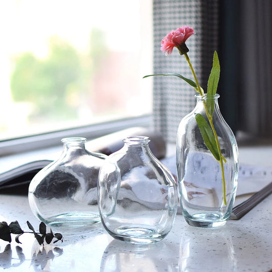 Glass Flower Vase for Home Decoration