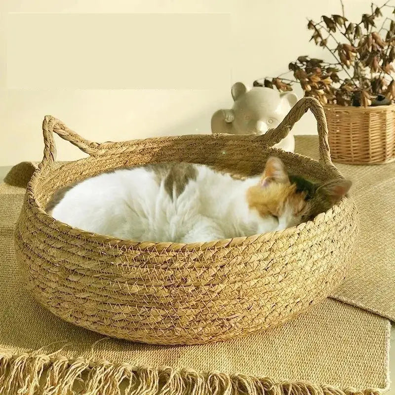 Washable Rattan Cat Bed- Removable Cushion & Litter House Brownstick